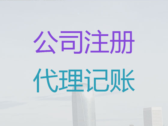 海南公司代理记账|代办代理企业记账/做账